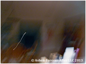 DSCN2201.jpg