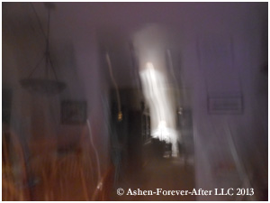 DSCN4986.jpg