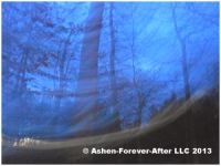 DSCN2107-lowres.jpg